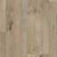 PVC Texline 2013 Sherwood Blond - Šíře: 4 m