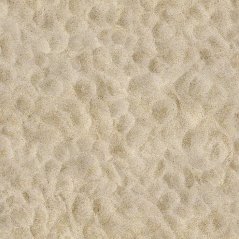 PVC Tex-maxima 2006