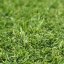Umělá tráva Profi Garden - Šírka: 4 m